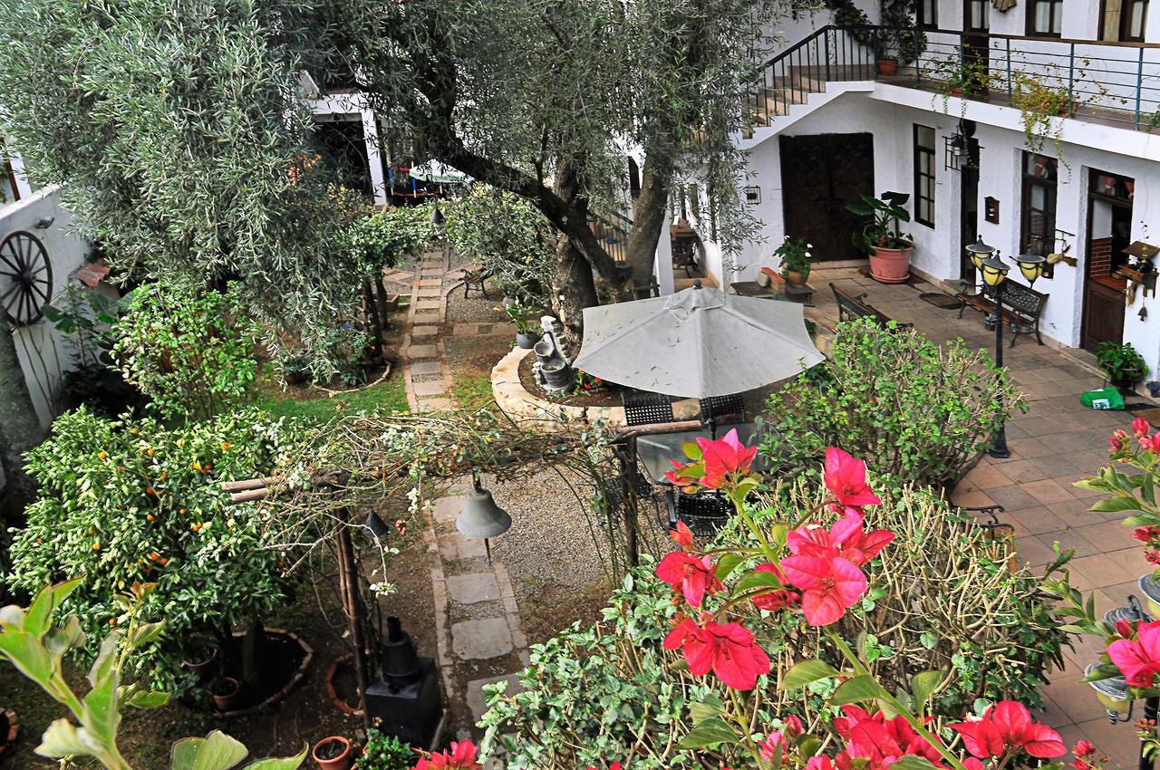 Viejo Olivo B&B Sucre Buitenkant foto